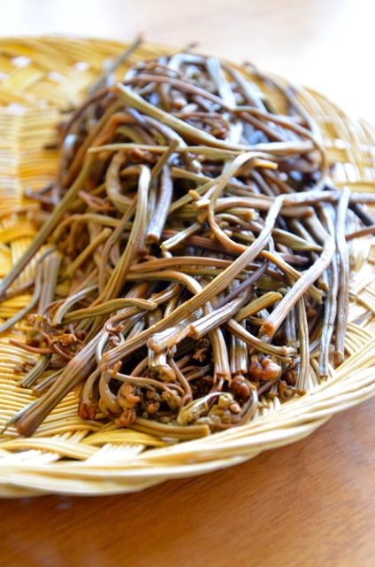 rehydrated and boild bracken fiddleheads (gosari고사리)