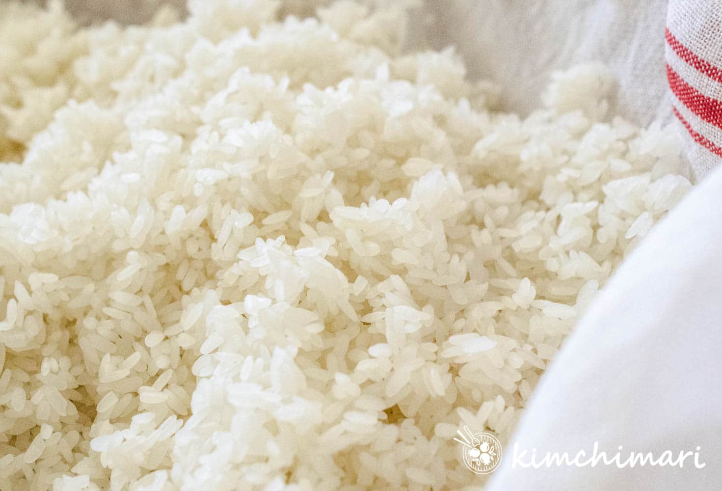 close up of cooled steamed sweet rice