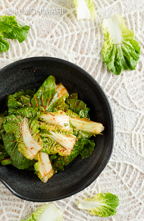 Fresh Cabbage Kimchi Salad (Geotjeori)