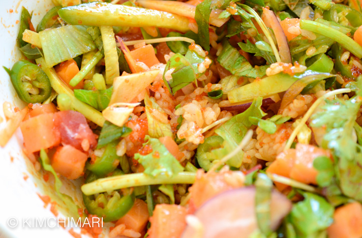 Korean Rice Bowl with Sashimi mixed with Gochujang (Hoedeopbap)