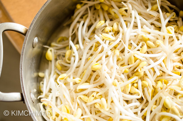 Kongnamul Soybean sprouts with water in pot 