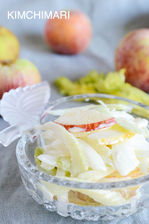 Apple Onion Celery Salad with Creamy Dressing