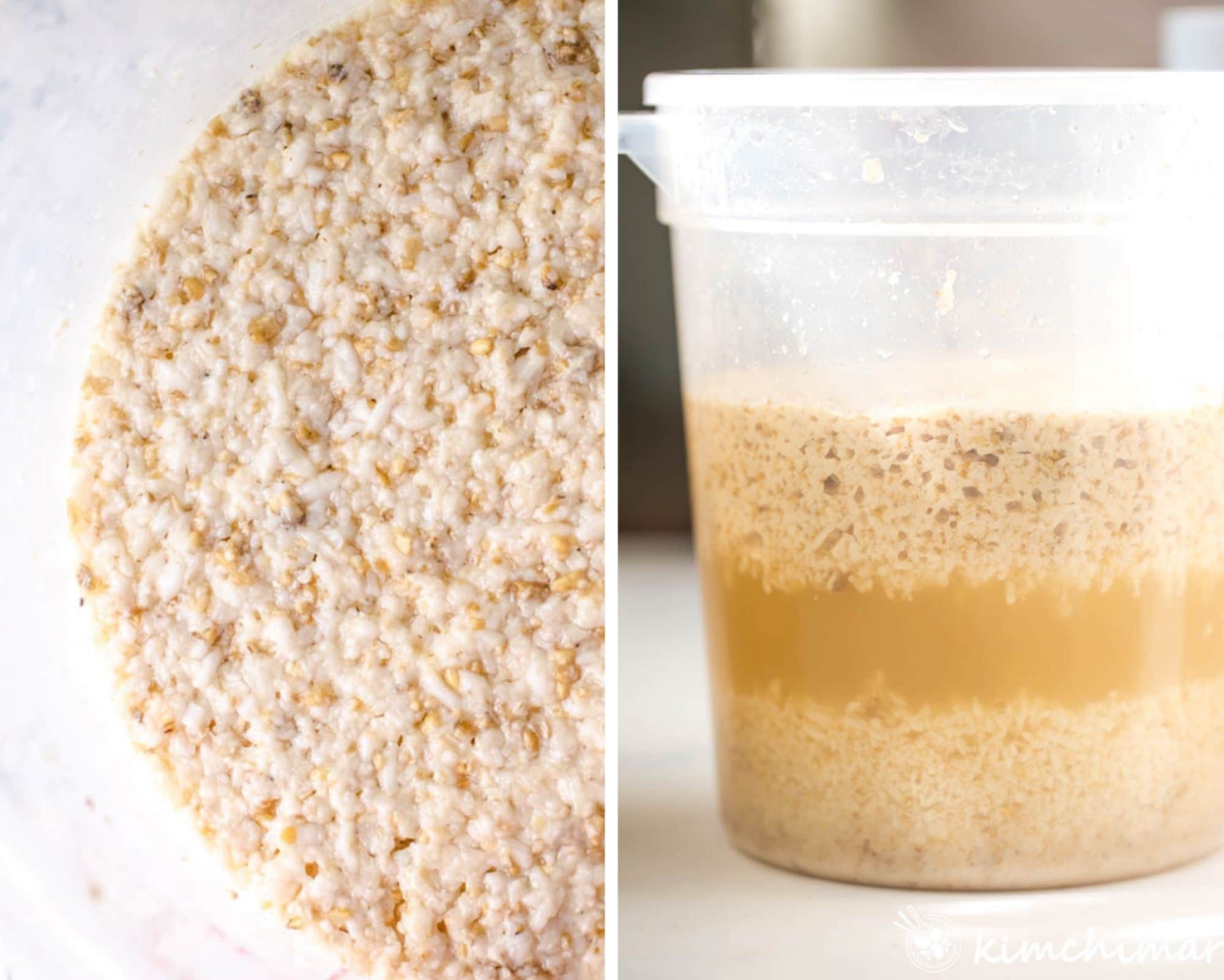 top and side view of makgeolli brewing in container on day 10