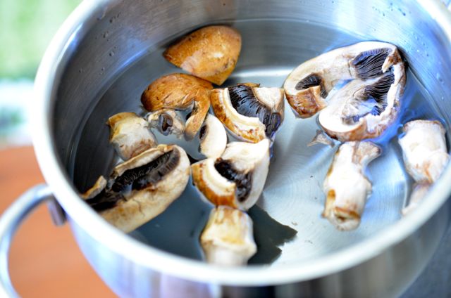 Mushroom stock for Korean Mushroom Rice (버섯밥 Beoseot bap) - BEFORE