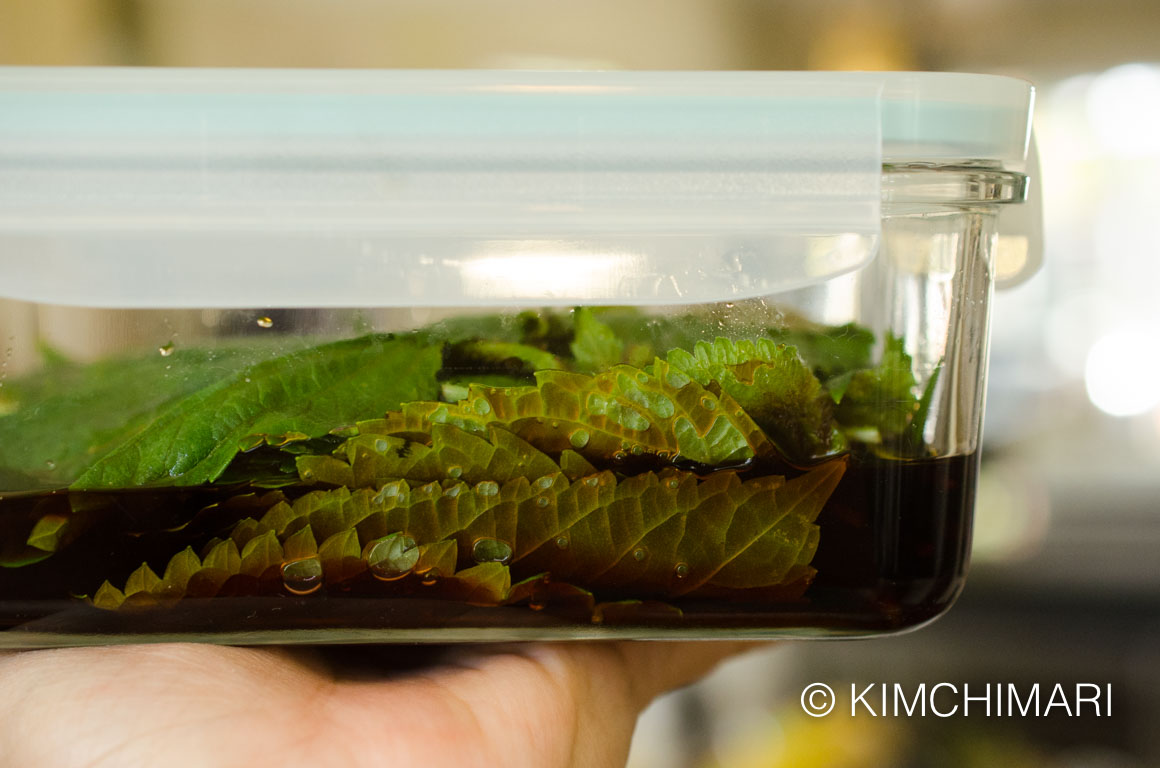 Perilla Leaves in soy sauce for Kkaennip Jangajji