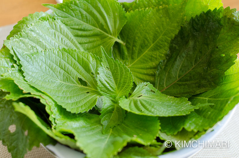 rinsed perilla leaves draining in colander