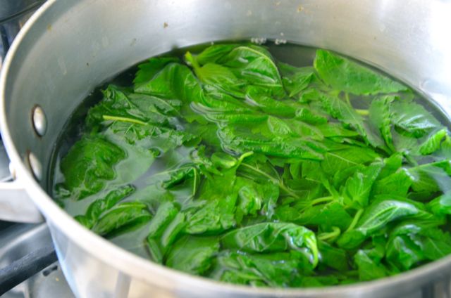 blanching perilla in pot