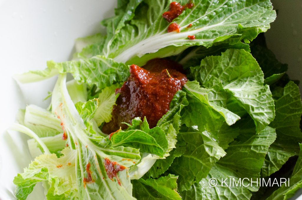 Ready to toss Fresh Spring Cabbage Kimchi Salad