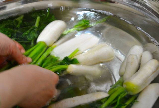 rinsing salted radish in water