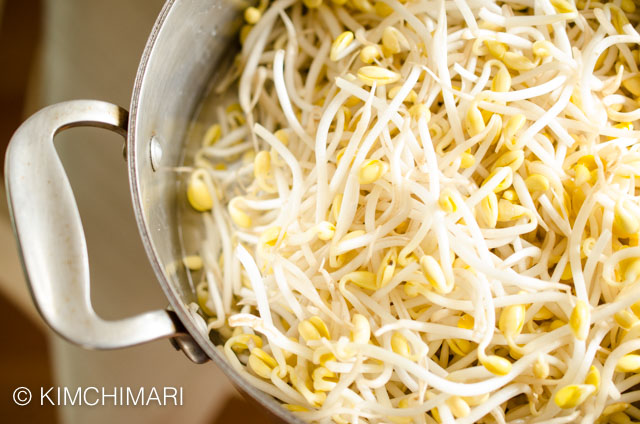 soybean sprouts in pot with water - ready to cook