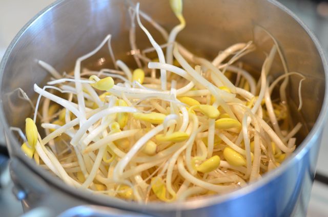 Sprouts in pot for Kongnamul Guk